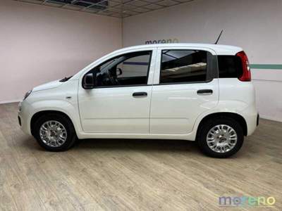 Fiat Panda Van 1.0 hybrid Easy 70 CV Bianco usata Faenza