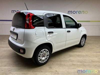Fiat Panda Van 1.0 hybrid Easy 70 CV Bianco usata Faenza