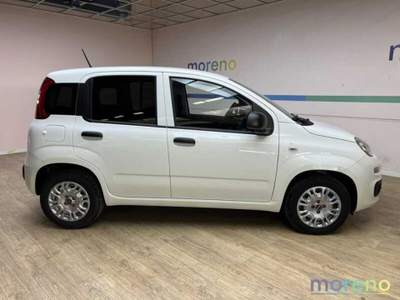 Fiat Panda Van 1.0 hybrid Easy 70 CV Bianco usata Faenza