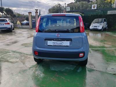 Fiat Panda Fiat Panda 1.2 EasyPower Easy Grigio usata FRASCATI