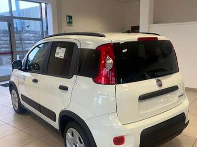 Fiat Panda 1.0 FireFly S&S Hybrid Bianco usata Cormons