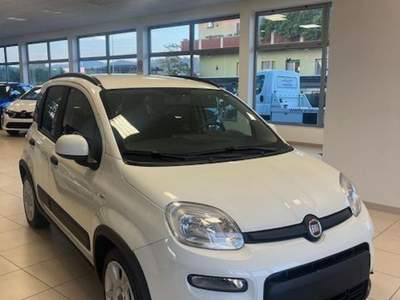 Fiat Panda 1.0 FireFly S&S Hybrid Bianco usata Cormons