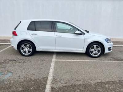 Volkswagen Golf 1.4 TGI 5p. Comfortline BlueMotion Bianco usata Capodimonte
