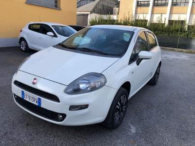 Fiat Punto 1.4 8V 5 porte Natural Power Street Bianco usata San Lazzaro di Savena