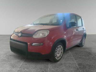 Fiat Panda 1.0 70cv Hybrid Rosso usata Arzachena