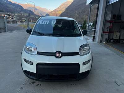 Fiat Panda NUOVA PANDA 1.0 70CV HYBRID Rosso usata Ardesio