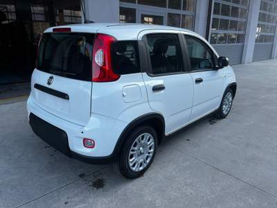 Fiat Panda NUOVA PANDA 1.0 70CV HYBRID Rosso usata Ardesio