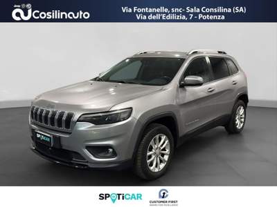 Jeep Cherokee 2.2 Mjt AWD 195CV Active Drive I Longitude Argento usata Sala Consilina