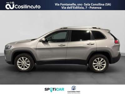 Jeep Cherokee 2.2 Mjt AWD 195CV Active Drive I Longitude Argento usata Sala Consilina