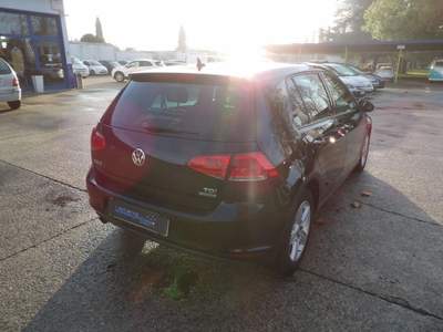 Volkswagen Golf 1.6 TDI 5p. Comfortline BlueMotion Technology Nero usata Spresiano