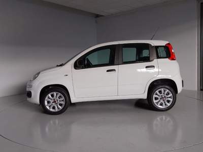 Fiat Panda 0.9 TwinAir Turbo Natural Power Easy Bianco usata Occhiobello