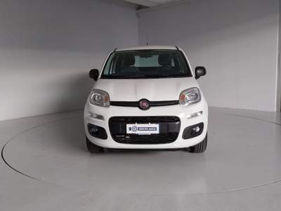 Fiat Panda 0.9 TwinAir Turbo Natural Power Easy Bianco usata Occhiobello