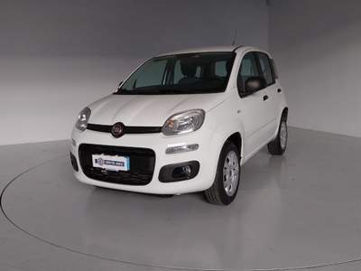 Fiat Panda 0.9 TwinAir Turbo Natural Power Easy Bianco usata Occhiobello
