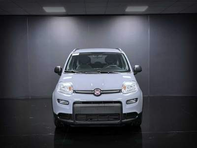 Fiat Panda FireFly 70CV Hybrid S&S City Life Grigio usata Orbassano