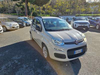 Fiat Panda 1.2 Easy Beige usata Spadafora