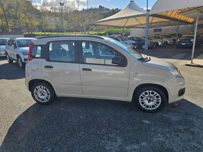 Fiat Panda 1.2 Easy Beige usata Spadafora