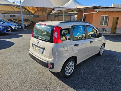Fiat Panda 1.2 Easy Beige usata Spadafora
