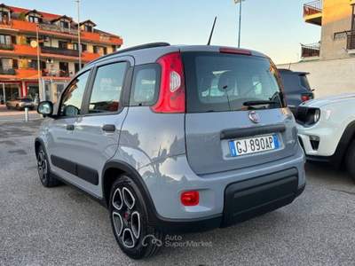 Fiat Panda 1.0 firefly hybrid City Life s&s 70cv Grigio usata Villaricca