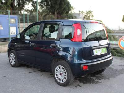 Fiat Panda 1.2 Lounge Neopatentati! Blu/Azzurro usata Sanremo