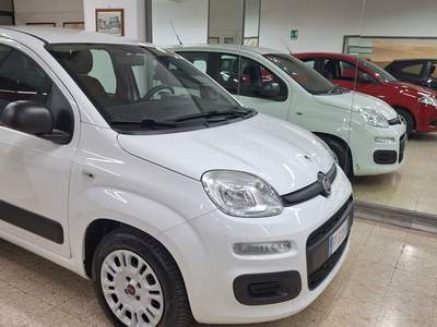 Fiat Panda UNICO PROPRIETARIO Bianco usata OSTUNI