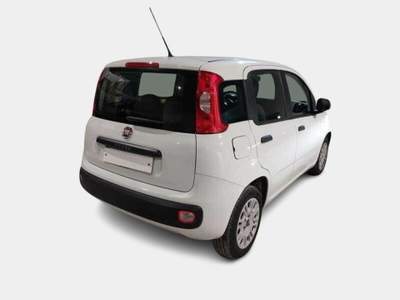 Fiat Panda 1.2 Easy Bianco usata Alcamo