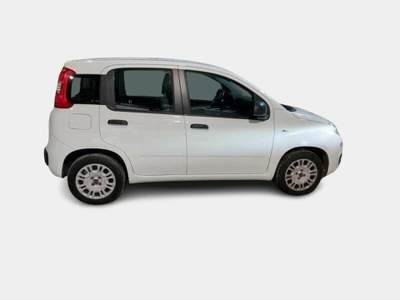 Fiat Panda 1.2 Easy Bianco usata Alcamo