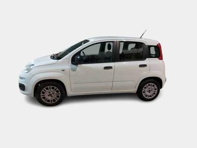 Fiat Panda 1.2 Easy Bianco usata Alcamo
