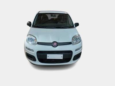 Fiat Panda 1.2 Easy Bianco usata Alcamo