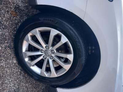 Audi Q5 2.0 TDI 150 CV clean diesel quattro Business Bianco usata SANT'ANGELO IN VADO