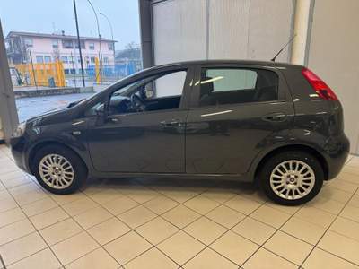 Fiat Punto 1.2 8V 5 porte Lounge **OK NEOPATENTATI** Grigio usata COLOGNO MONZESE
