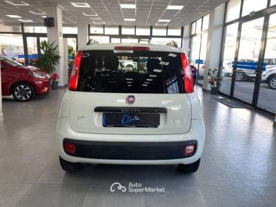 Fiat Panda 1.3 mjt 16v Lounge s&s 80cv Bianco usata Carlentini