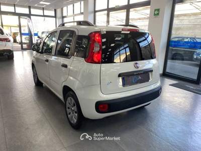 Fiat Panda 1.3 mjt 16v Lounge s&s 80cv Bianco usata Carlentini
