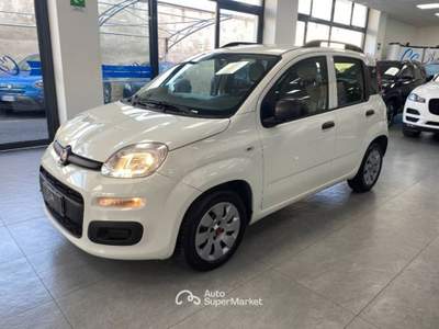 Fiat Panda 1.3 mjt 16v Lounge s&s 80cv Bianco usata Carlentini