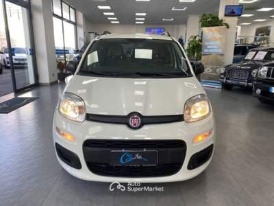 Fiat Panda 1.3 mjt 16v Lounge s&s 80cv Bianco usata Carlentini