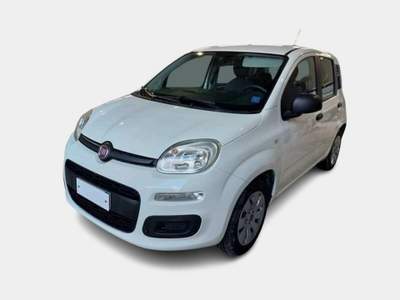 Fiat Panda 1.2 Easy Bianco usata Alcamo