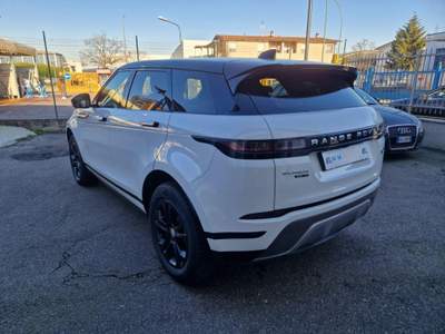 Land Rover Range Rover Evoque 2.0D I4 180 CV AWD Auto First Edition Bianco usata COLOGNO MONZESE
