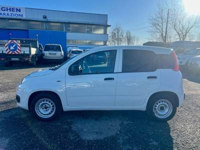 Fiat Panda 1.2 Pop Van 2 posti-solo 65000km+ IVA Bianco usata Roburent