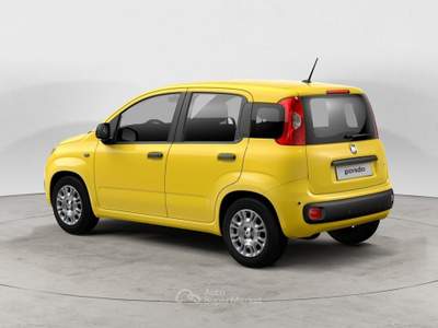 Fiat Panda Panda 1.0 FireFly S&S Hybrid  2025 Giallo usata MELEGNANO