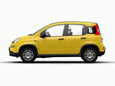 Fiat Panda 1.0 FireFly S&S Hybrid Giallo usata MODENA