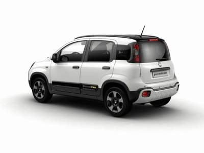 Fiat Panda 1.0 FireFly S&S Hybrid Pandina GPL Bianco usata MODENA