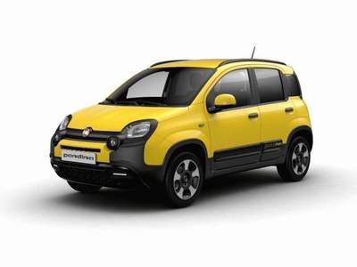 Fiat Panda 1.0 FireFly S&S Hybrid Pandina GPL Giallo usata MODENA