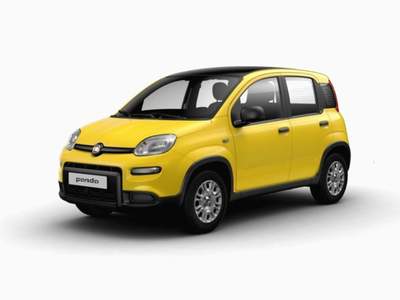 Fiat Panda 1.0 FireFly S&S Hybrid GPL Giallo usata MODENA