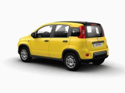 Fiat Panda 1.0 FireFly S&S Hybrid GPL Giallo usata MODENA