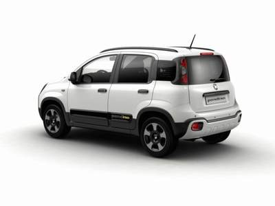Fiat Panda 1.0 FireFly S&S Hybrid Pandina GPL Bianco usata MODENA