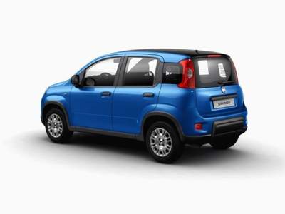 Fiat Panda 1.0 FireFly S&S Hybrid GPL Grigio usata MODENA