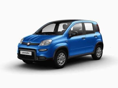 Fiat Panda 1.0 FireFly S&S Hybrid GPL Grigio usata MODENA