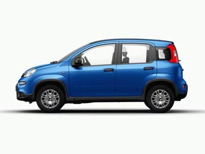 Fiat Panda 1.0 FireFly S&S Hybrid GPL Grigio usata MODENA