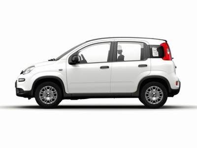 Fiat Panda 1.0 FireFly S&S Hybrid GPL Bianco usata MODENA