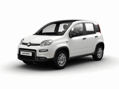 Fiat Panda 1.0 FireFly S&S Hybrid GPL Bianco usata MODENA