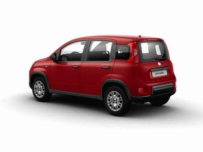 Fiat Panda 1.0 FireFly S&S Hybrid GPL Rosso usata MODENA